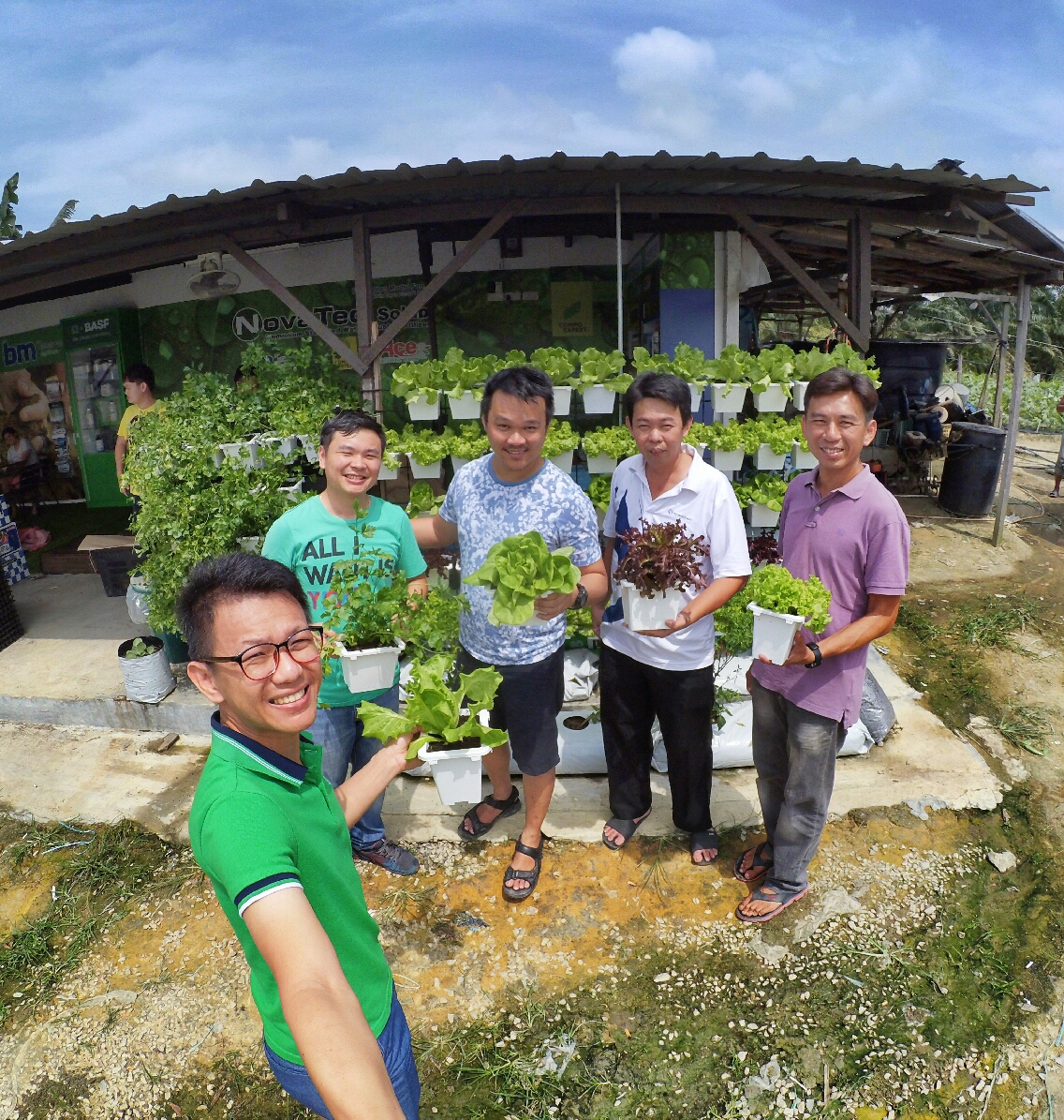 马来西亚卡梅伦高地茶园大农场 库存图片. 图片 包括有 横向, 收获, 向下, 投反对票, 农场, 绿色 - 156771519