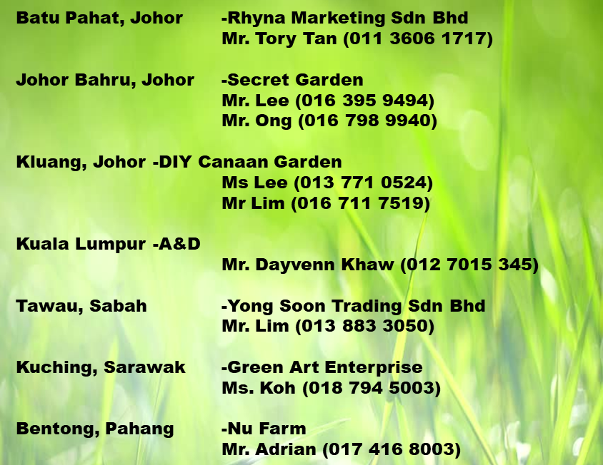 Corona Malaysia Sdn Bhd Grow Your Own Food at Home DIY plantation Organic Vegetables Batu Pahat Johor Malaysia  Vertical Growing Stand Alvin Tay Adrian Teh A20 Distributor Corona.png