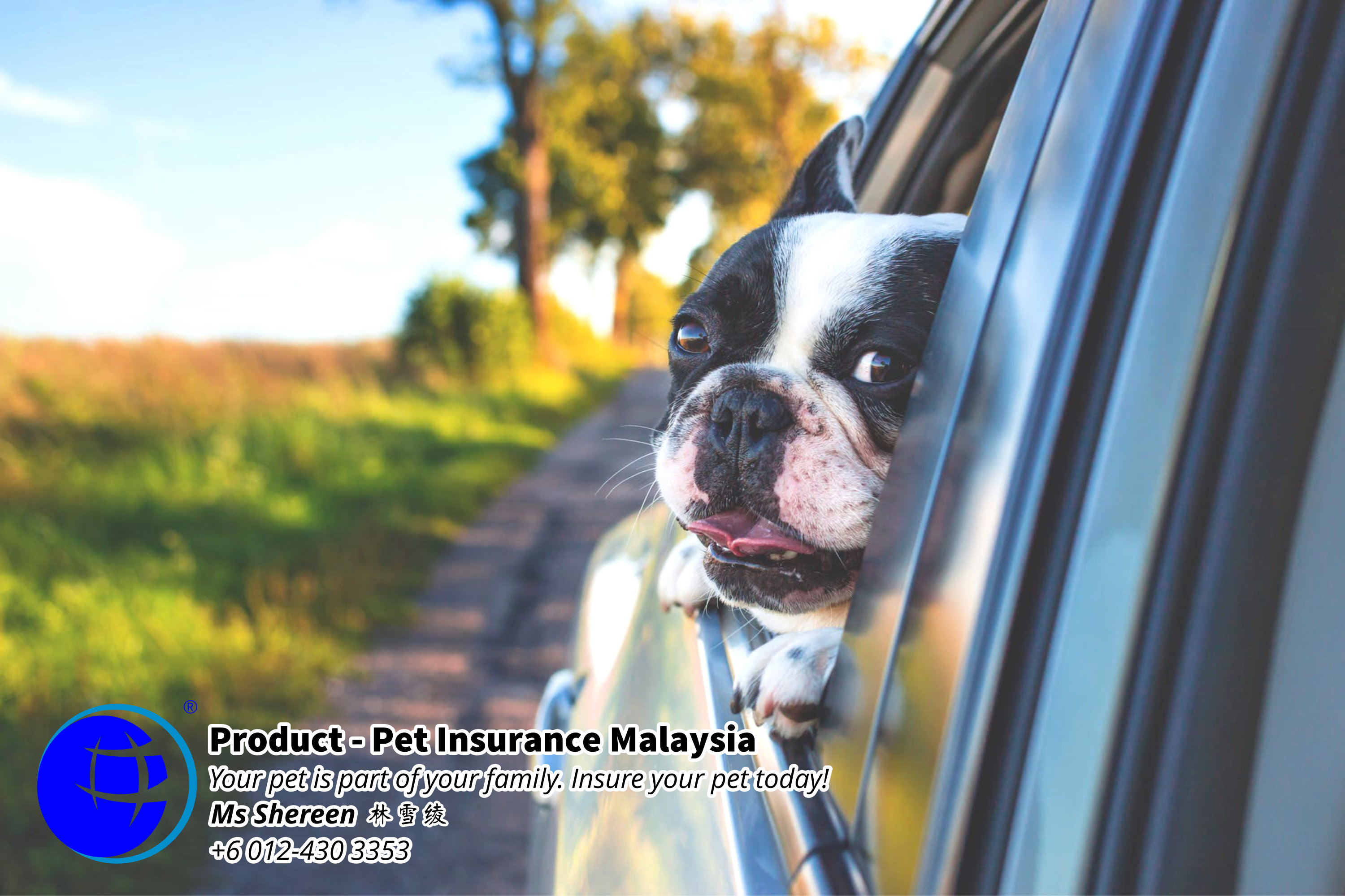 Pet Insurance Malaysia Johor Batu Pahat Agensi Pekerjaan Unilink Prospects SB Wisma V Cat Insurance Malaysia Dog Insurance Malaysia Johor Batu Pahat Your pet is part of your family Insure your pet today A19