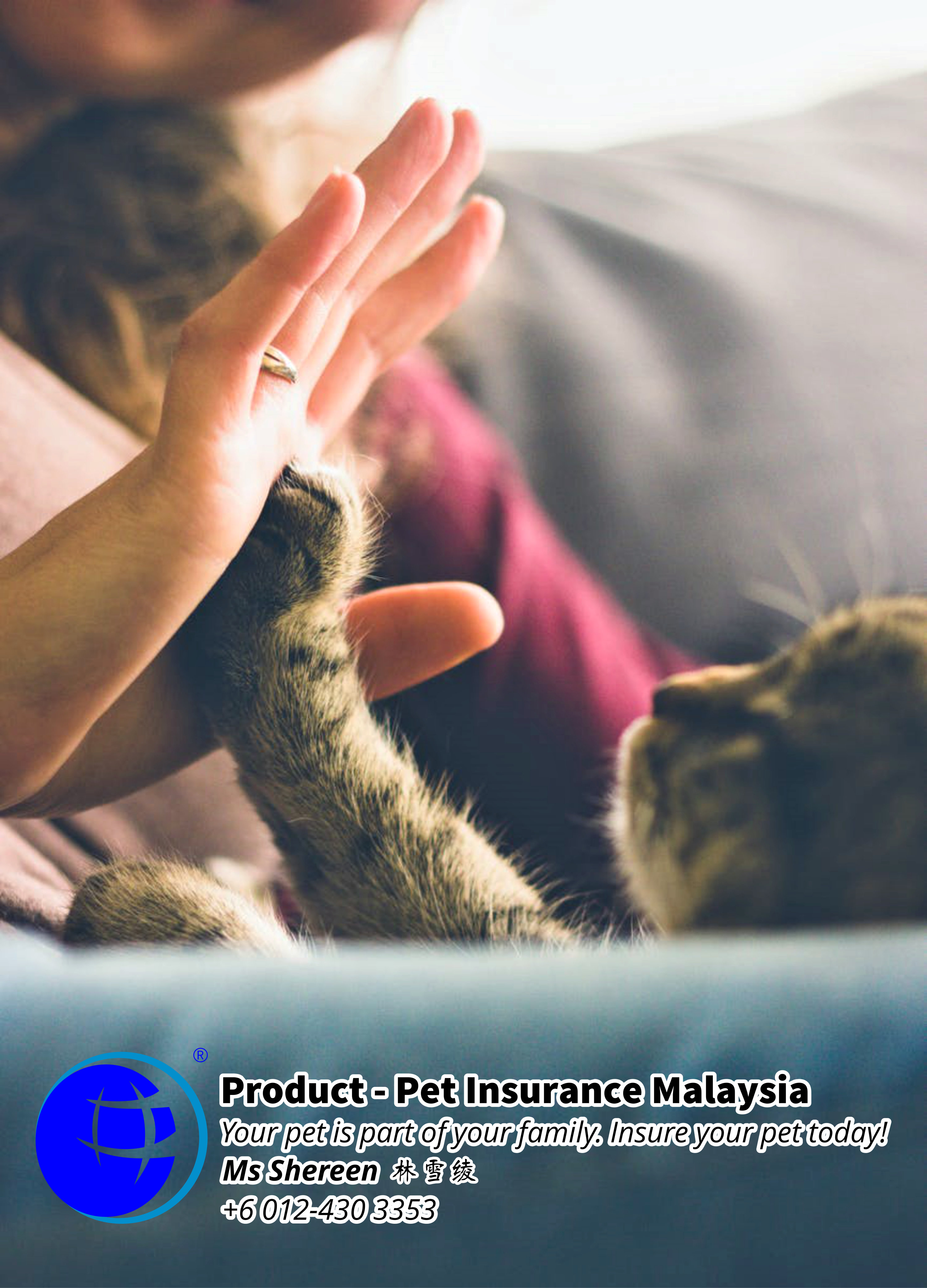 Pet Insurance Malaysia Johor Batu Pahat Agensi Pekerjaan Unilink Prospects SB Wisma V Cat Insurance Malaysia Dog Insurance Malaysia Johor Batu Pahat Your pet is part of your family Insure your pet today A08
