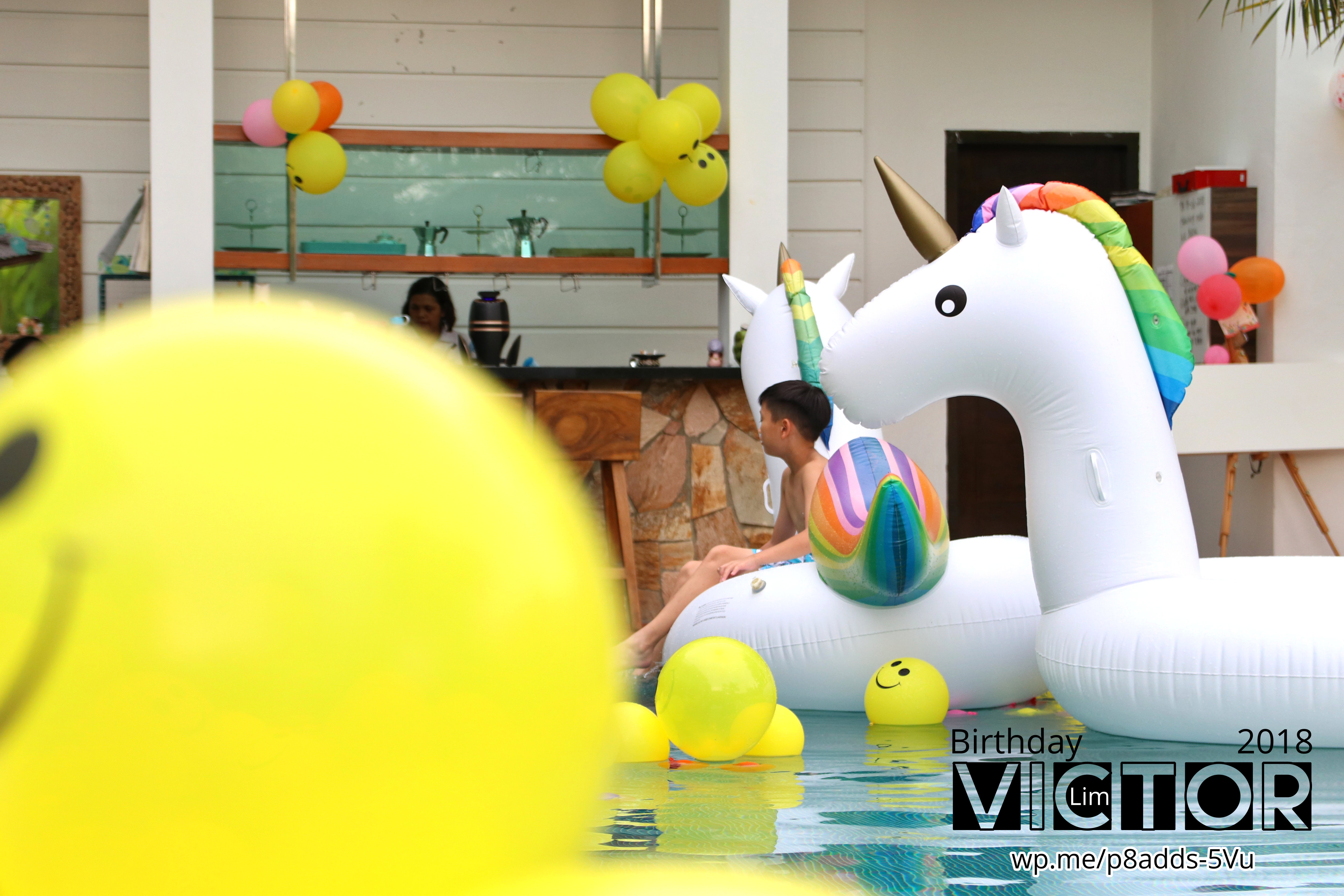 Victor Lim Birthday 2018 in Malaysia Party Buffet Swimming Fun A03