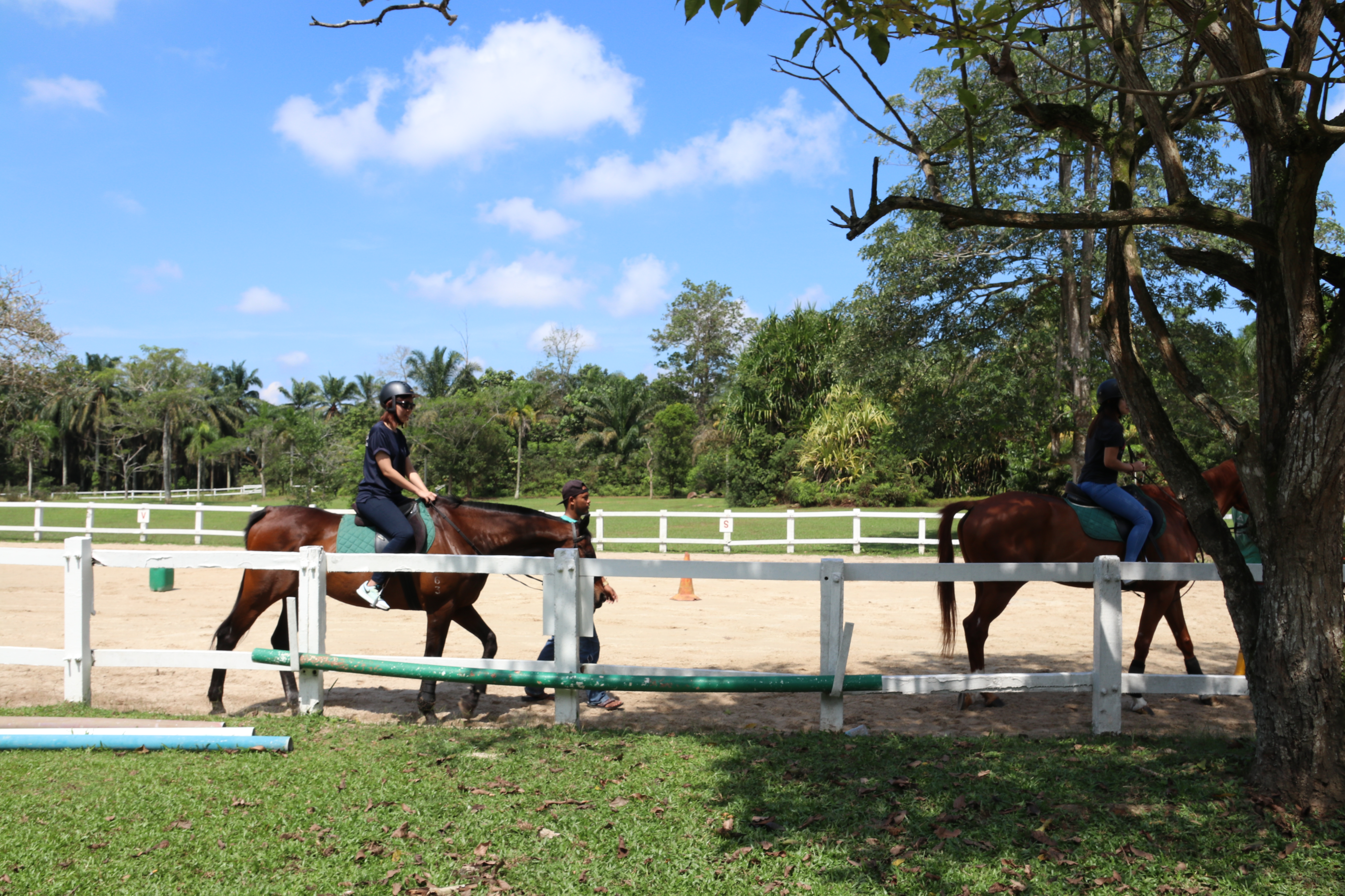 Unilink Group Company Trip 2018 April from Agensi Pekerjaan Unilink Prospects Sdn Bhd Horse Riding at Johor Bahru 58