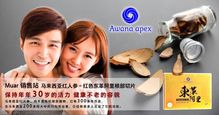 Muar 销售站 马来西亚红人参 红色东革阿里根部切片 Awana Apex 在马来西亚200多间大中药行均有出售 A01